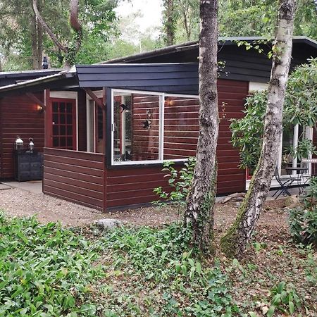 Bosbungalow De Eekhoorn Nunspeet Bagian luar foto