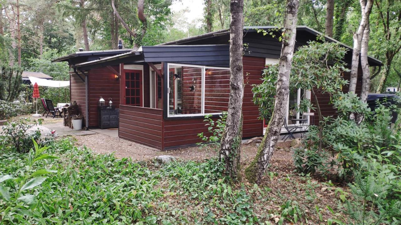 Bosbungalow De Eekhoorn Nunspeet Bagian luar foto