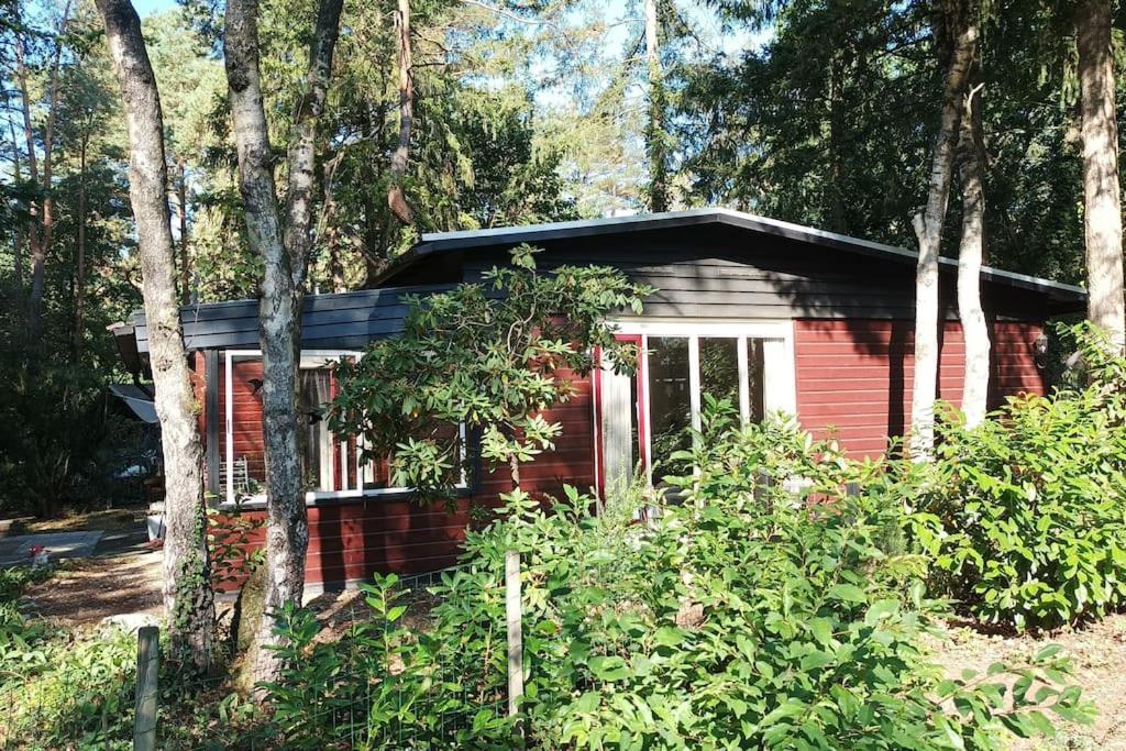 Bosbungalow De Eekhoorn Nunspeet Bagian luar foto