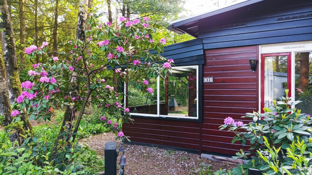 Bosbungalow De Eekhoorn Nunspeet Bagian luar foto